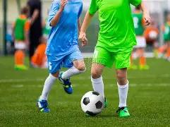 佩莱格里诺,渴望重返米,兰之心愈加,亚博体育,亚博体育官网,亚博体育app,亚博体育下载