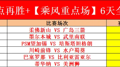 鹿特丹ATP500网球赛 梅德韦杰夫意外淘汰