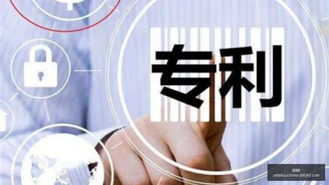 33岁中超名将加盟多特，阿莱伤病替代者揭晓